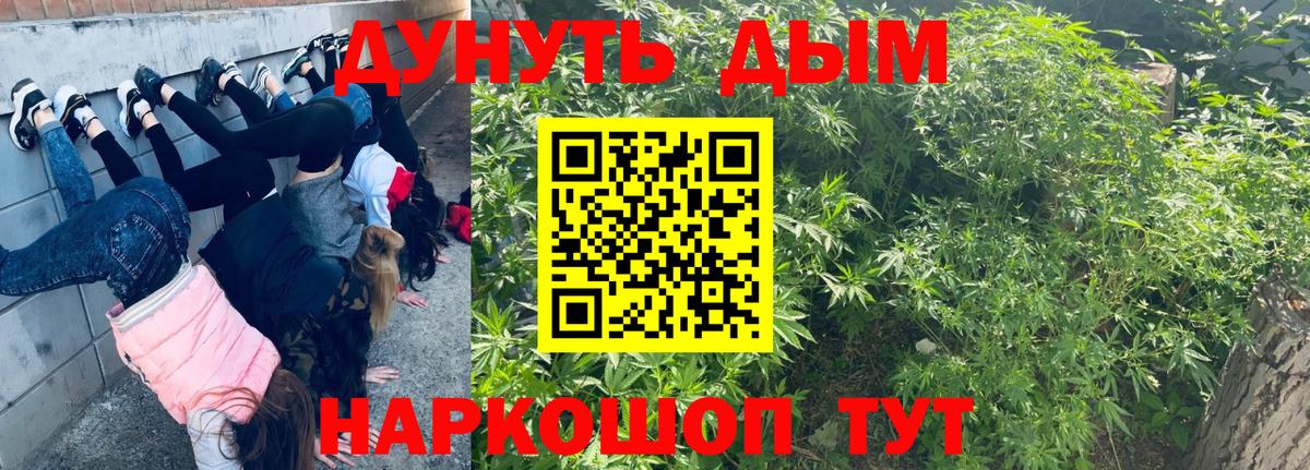 Солнечногорск  Конопля гибрид  Вход с VPN  Марихуана SATIVA & INDICA  Каннабис White Widow 
